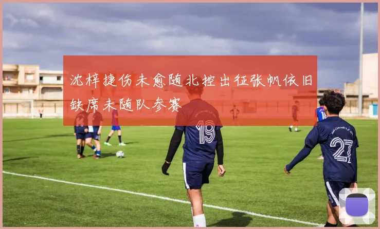 沈梓捷伤未愈随北控出征张帆依旧缺席未随队参赛