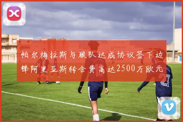 帕尔梅拉斯与狼队达成协议签下边锋阿里亚斯转会费高达2500万欧元