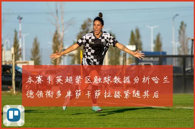 本赛季英超禁区触球数据分析哈兰德领衔多库萨卡萨拉赫紧随其后