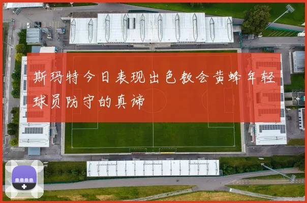 斯玛特今日表现出色教会黄蜂年轻球员防守的真谛