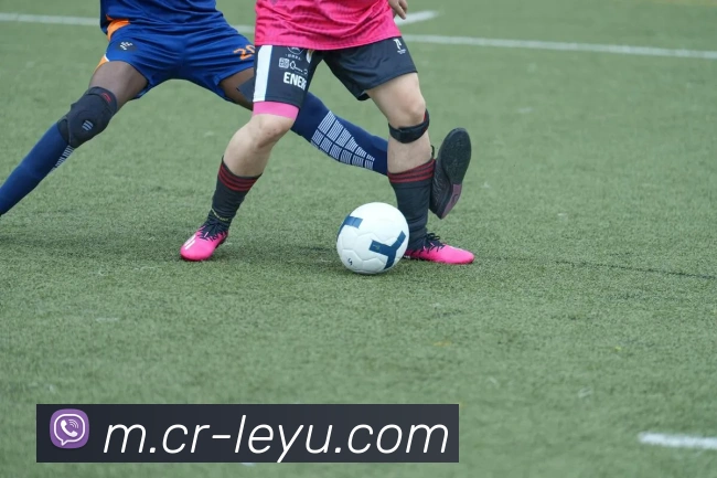 App Interface Preview